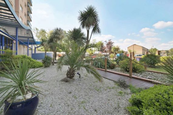 1 Bedroom Apartment
